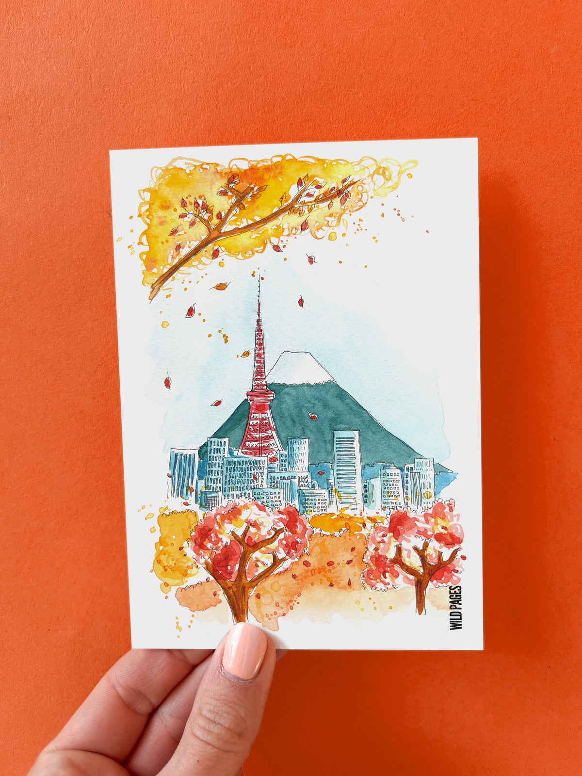 Pack Automne
