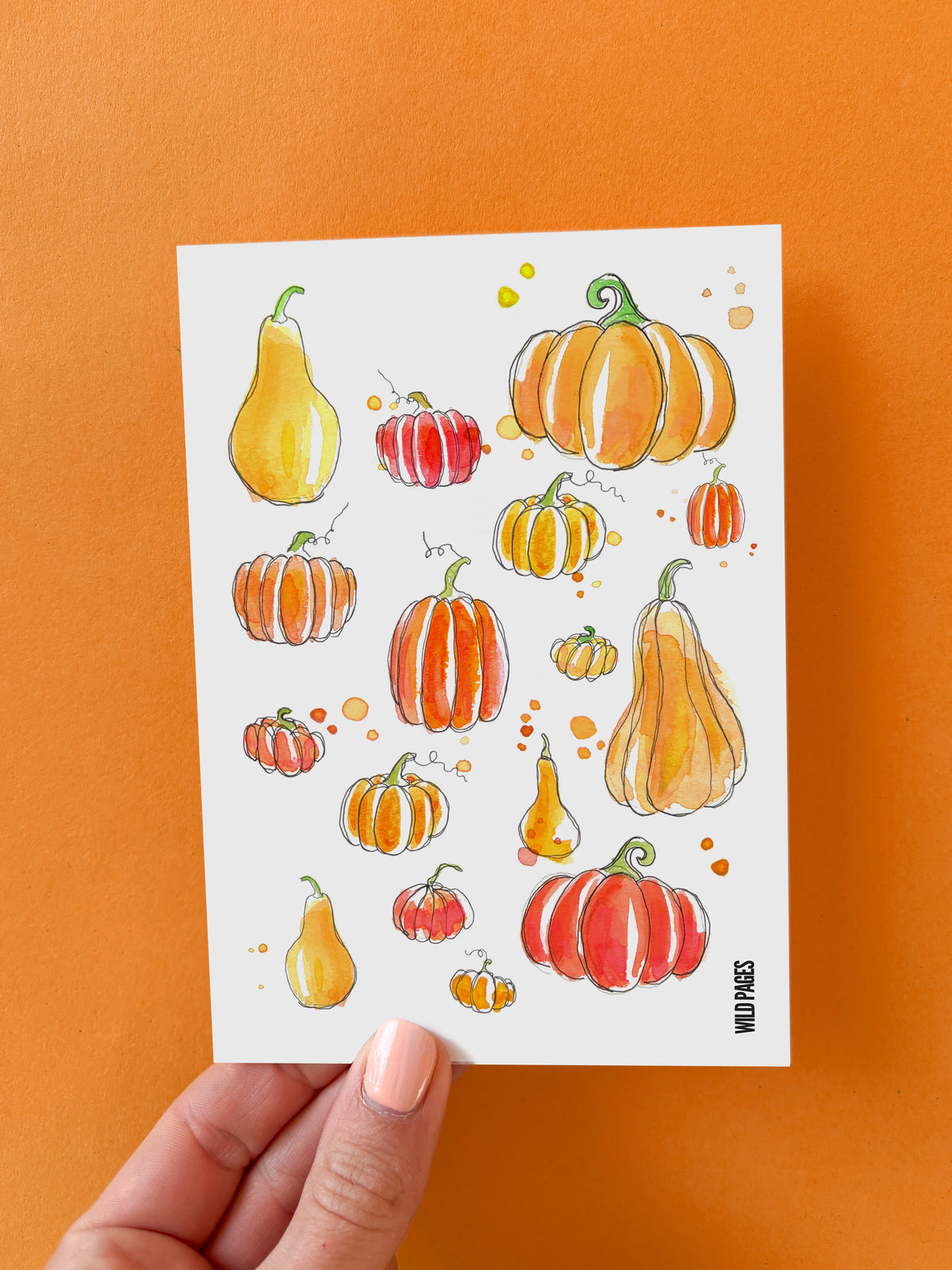 Pack Automne