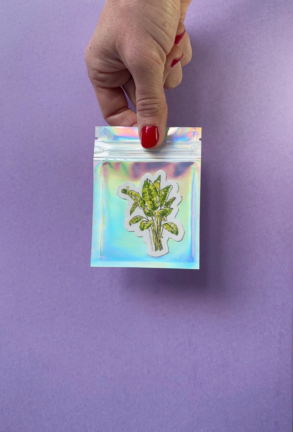 Sticker Le Tropical