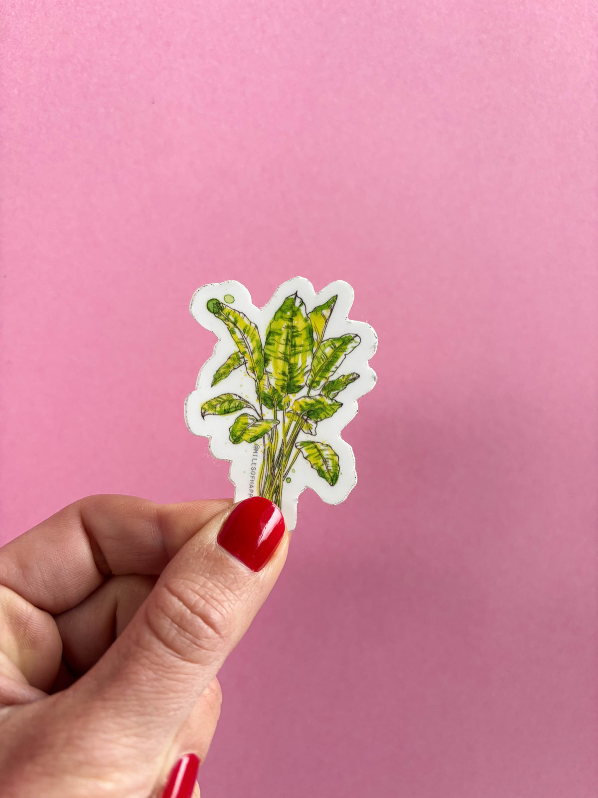 Sticker Le Tropical
